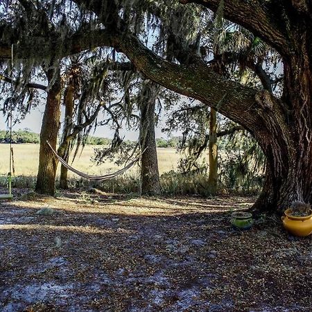 Secluded Tiny House By The Marsh With Hunting Island Beach Pass Frogmore Exterior foto